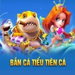 Bắn cá tiểu tiên cá – game bắn cá hot hit tại Bsports