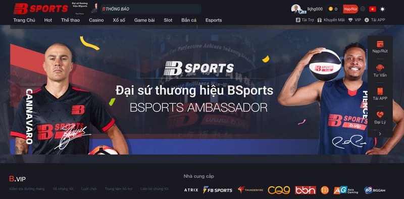 Bsports là nhà cái có giấy phép rõ ràng