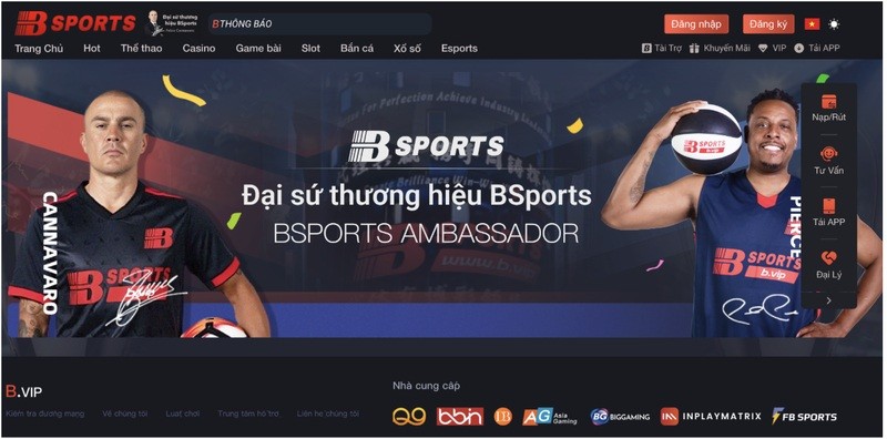 Quá trình phát triển Bsports của Mai Việt Dũng